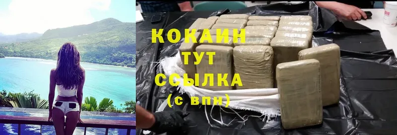 Cocaine FishScale  кракен зеркало  Зверево 